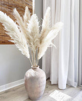 Natural  Dried Pampas