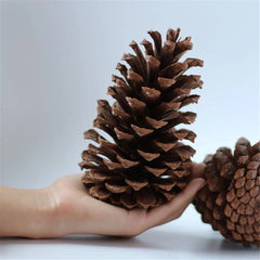 Pine cone Christmas tree decor ( set of 4 )