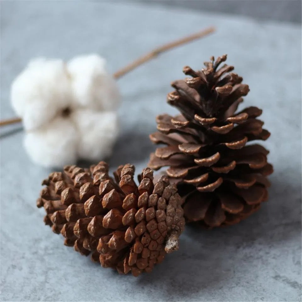 Pine cone Christmas tree decor ( set of 4 )