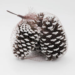 Snow tipped pine cone Christmas decor set of 4 pcs