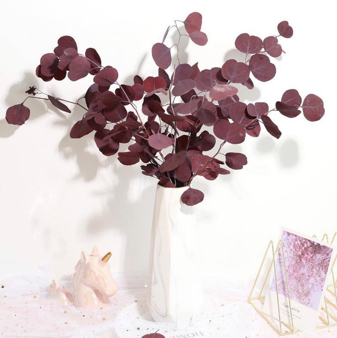 PRESERVED BURGUNDY  EUCALYPTUS,