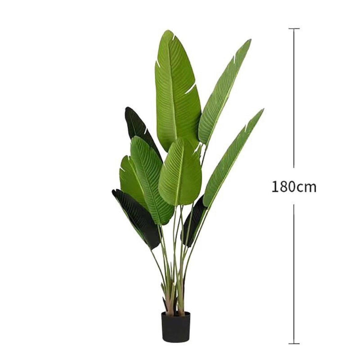 Artificial Banana Plant for Home Decoration and Office Decoration size 180 cm