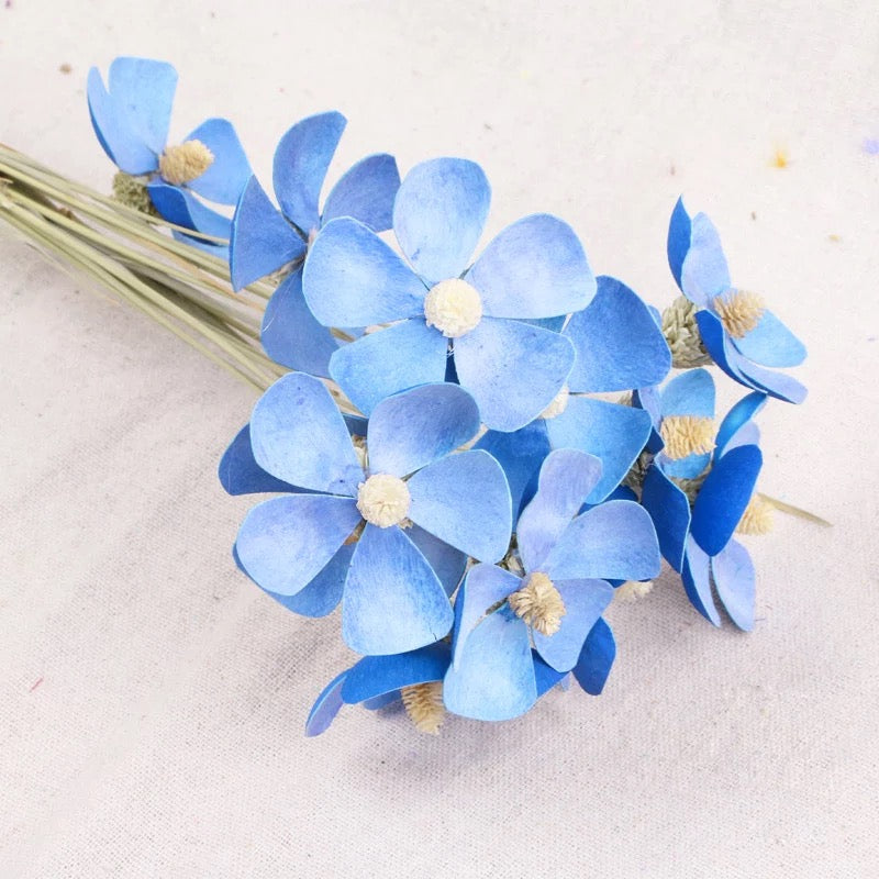 Dried Flower