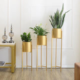 Plant gold metal stand set of 3.