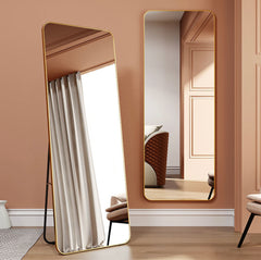Wall Mirror Stainless steel with double position